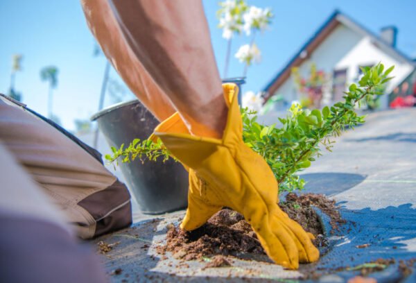 How To Keep Weeds Out Of Flower Beds Forever Plant By Number