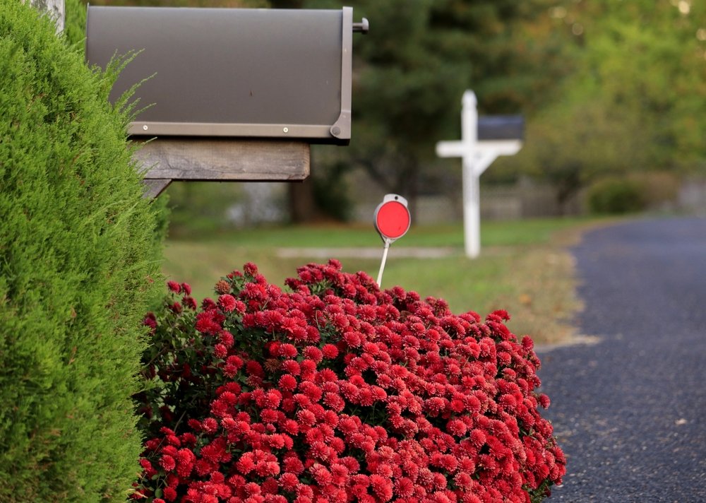 Mailbox Landscaping Ideas