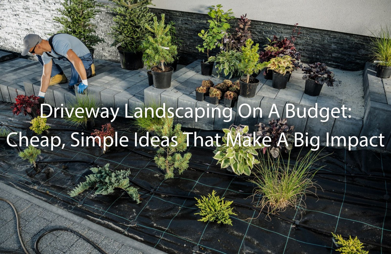 Driveway Border Landscaping Ideas