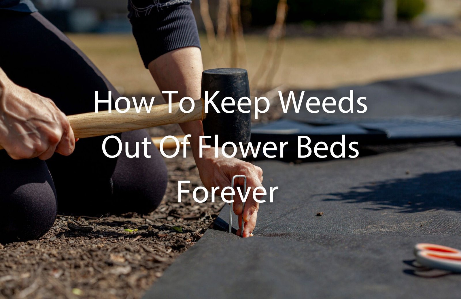 Keep Weeds Out of Flower Beds