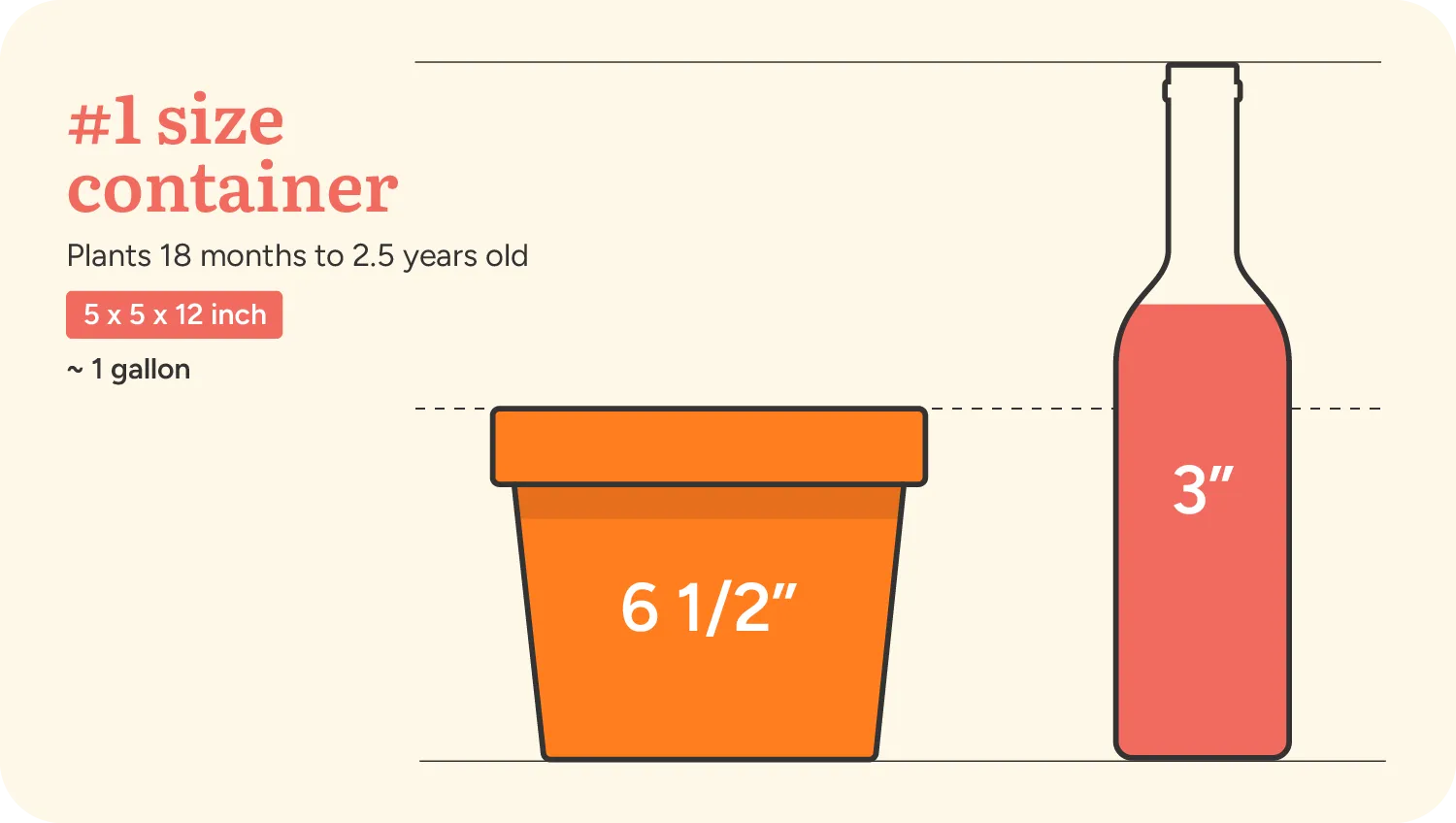 pot_size_#1_container_plant_by_number