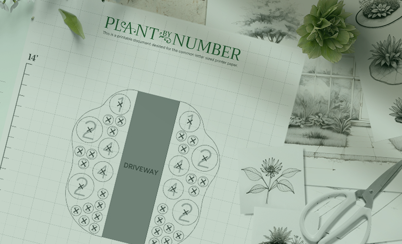 blueprint-mockup-01-2