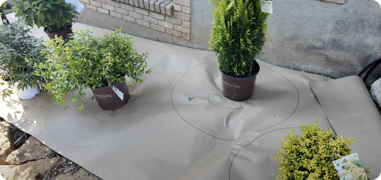 screenshot-2025-05-21-at-18-23-26-1-3